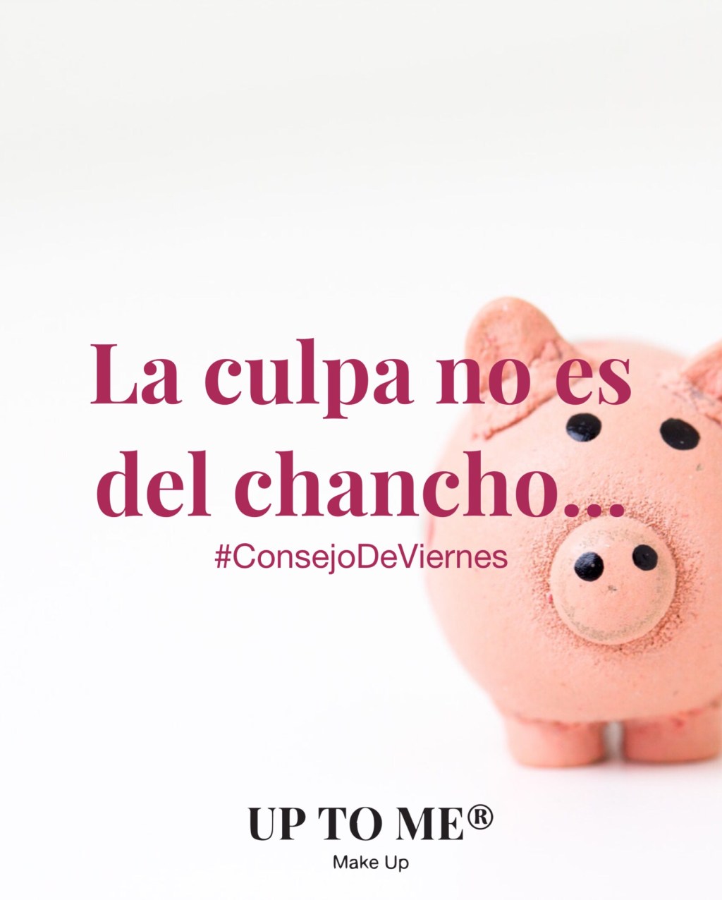 Consejo de Viernes: La culpa no es del&nbsp;chancho
