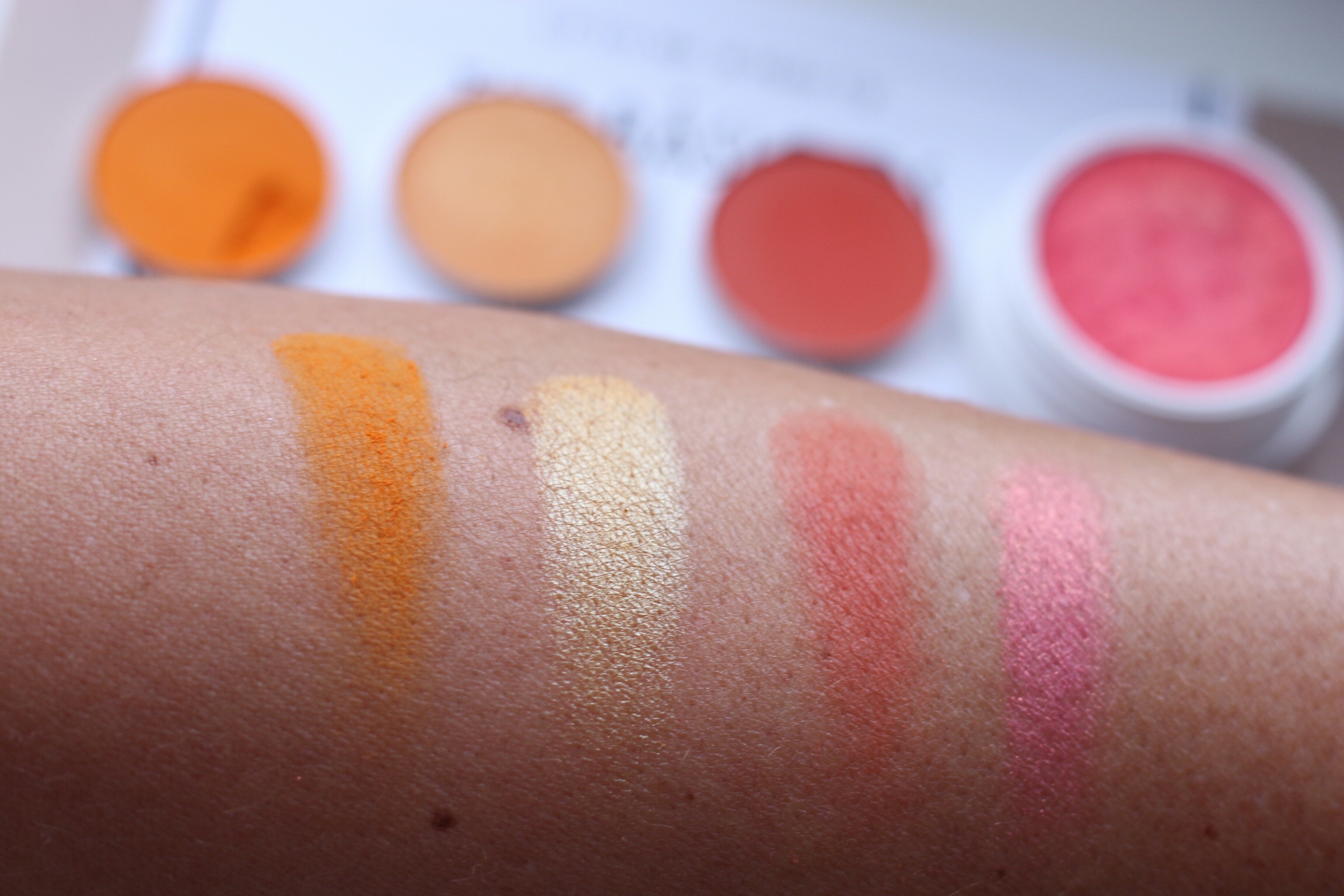 10742079504_img_0463